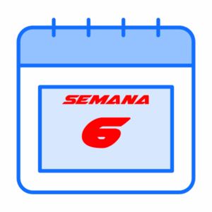 Semana 6: del 3 al 7 de agosto.